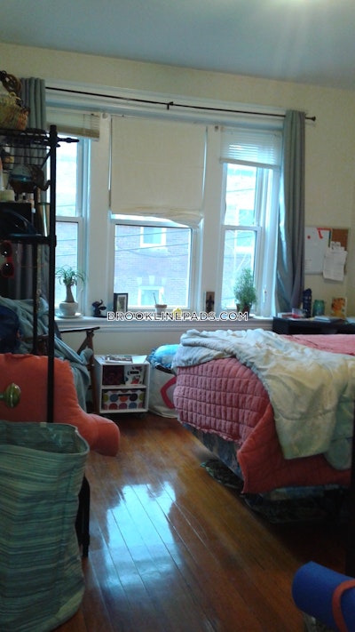 Brookline Apartment for rent 1 Bedroom 1 Bath  Washington Square - $2,350