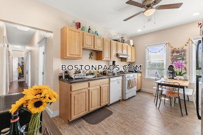 Cambridge 4 Beds 1 Bath  Central Square/cambridgeport - $4,995