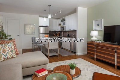 Downtown Apartment for rent 1 Bedroom 1 Bath Boston - $3,900