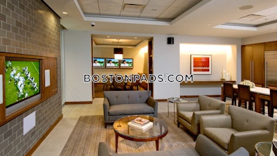 Downtown 1 Bed 1 Bath Boston - $4,122