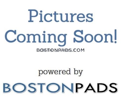 Allston Apartment for rent Studio 1 Bath Boston - $2,150