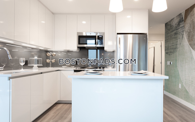 West End Apartment for rent 2 Bedrooms 2 Baths Boston - $10,065