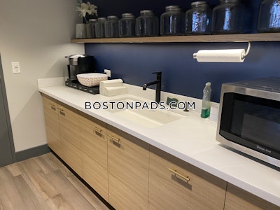 Allston Apartment for rent 1 Bedroom 1 Bath Boston - $3,000