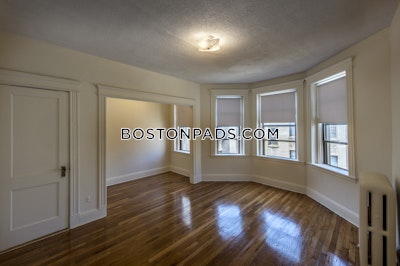 Allston Apartment for rent 1 Bedroom 1 Bath Boston - $2,450