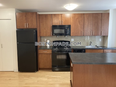 Brighton Apartment for rent 1 Bedroom 1 Bath Boston - $2,639