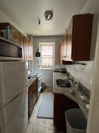 Allston Apartment for rent 1 Bedroom 1 Bath Boston - $2,400 No Fee