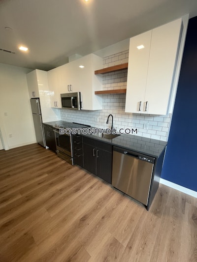 Allston 1 bedroom  Luxury in BOSTON Boston - $3,610 No Fee